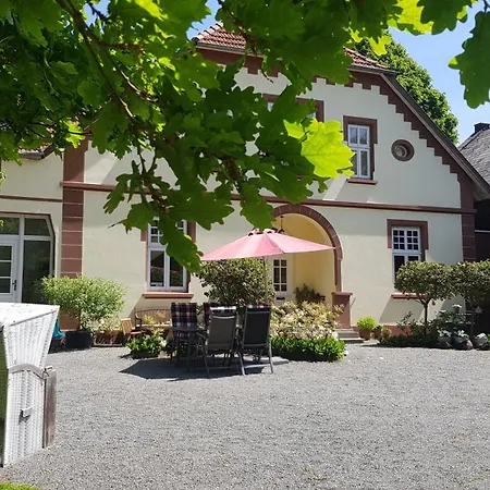 Herzmuschel * Sande