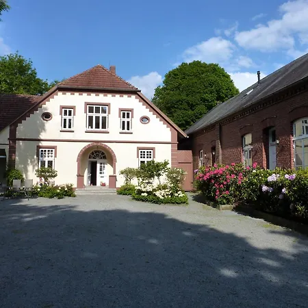 Herzmuschel *